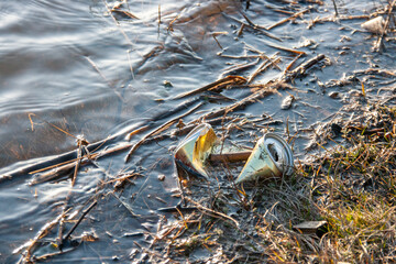 Crumpled metal can in the river with coastal grass debris