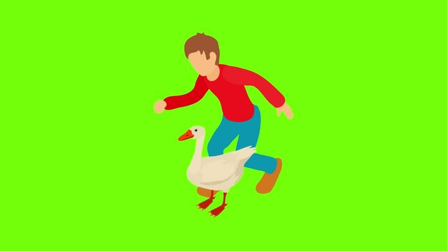 Poultry farming icon animation cartoon best object on green screen background