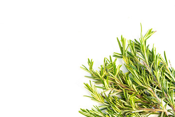 Fresh rosemary leaves isolated on white background with top left copy space