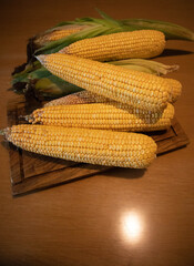 Fresh tender yellow corn on the cob