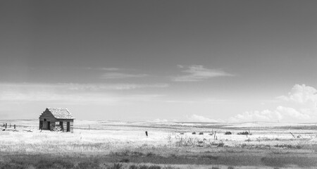 Deserted homestead, Weld County, Colorado