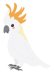 Cockatoo