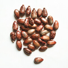 beans isolated on white