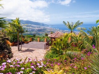 Tenerife at about 300 meters above sea level in Santa Ursula. View over green plants and palm trees to the Orotava Valley