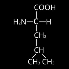 Fototapeta na wymiar Amino acid Leucine. Chemical molecular formula of amino acid leucine. Vector illustration on isolated background