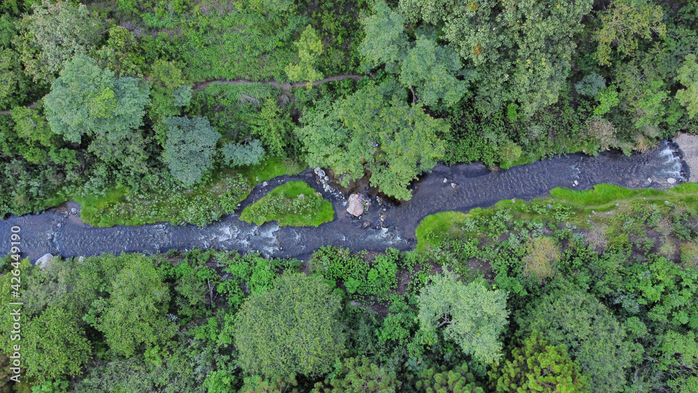 Wall mural river in the forest