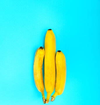 Top view. Three yellow bananas on a blue background. One of the bananas is longer than the others. Size matters. A phallic symbol is a concept.