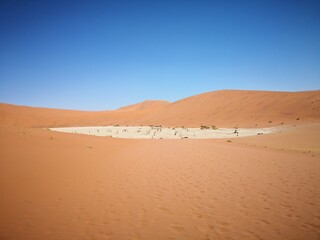 Fototapeta na wymiar panorama view of dead vlei in namib desert with no people