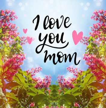 I Love You Mom Images – Browse 11,346 Stock Photos, Vectors, and Video |  Adobe Stock