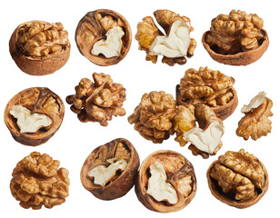 Walnut collection. Peeled walnuts isolated on white background