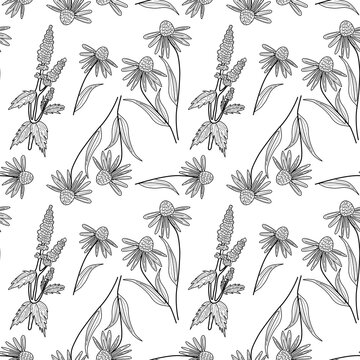 Vector seamless pattern with contour plants, herbs and flowers for fabrics, paper, textile, gift wrap isolated on white background 