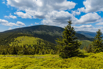 Obraz premium Panorama of Giant Mountains next to trail to Sniezka