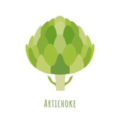 Single one Green Artichoke isolated on white