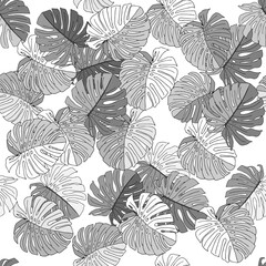 Illustration of gray leaves monstera isolated on a white background. Seamless pattern