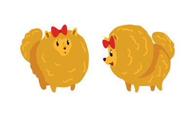 Cute Spitz Dog Set, Lovely Fluffy Pet Animal Vector Illustration