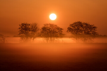 sonnenaufgang