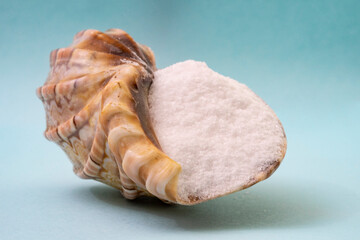 Shell full of sea salt, on blue background, macro