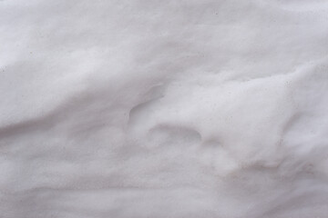 Obraz premium Melt snow in early spring.