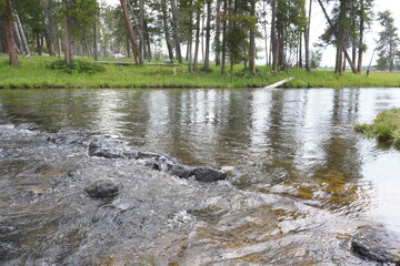 Presence in a stream