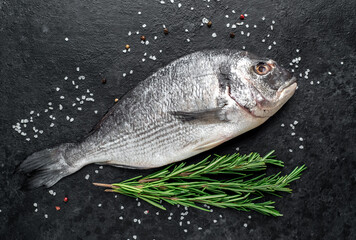 raw dorado fish on stone background