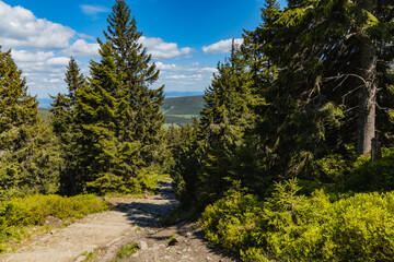 Fototapeta na wymiar Long mountain trail with panorama if Karkonosze Giant Mountains around