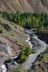 mountain road in the mountains