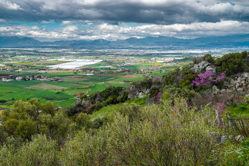 Fototapeta na wymiar A stunning landscape of southern Italy from a high hill, Madonna del Granato Sanctuary, in April, when the fields emerge green. The valley is lined with roads, many trees, shrubs and houses