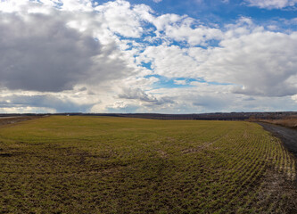 clouds over a field of winter crops in spring