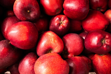 Fototapeta na wymiar Red apples from the village organic market, Italy