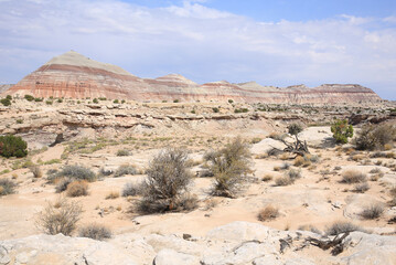 Desert near Hanksville in Utah, USA