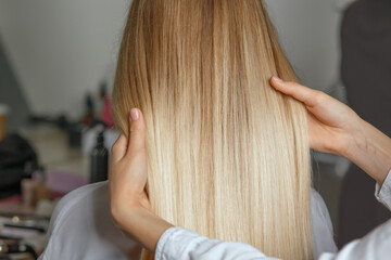 Naklejka premium Hair stylist holding client's straight hair