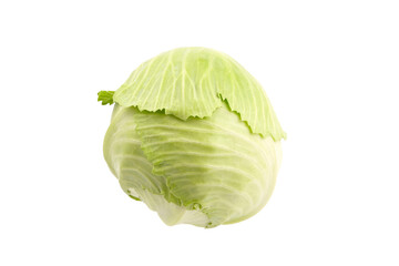 White cabbage head isolated on white background