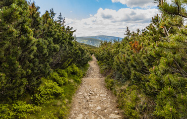 Fototapeta na wymiar Long mountain trail with panorama if Karkonosze Giant Mountains around