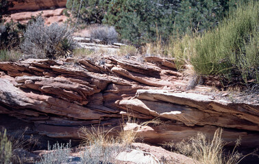 Sandstone strata in the Colorado landscape