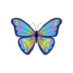 multicolored beautiful butterfly blue isolated on white background