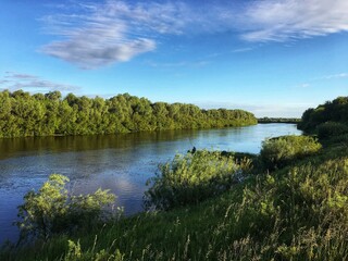 Obraz premium lake in the forest