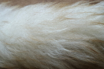 Super Soft Natural Lambswool Feather Duster Fur Background