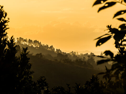 Paisaje de atardecer o amanecer con cielo anaranjado y silueta de arboles y arbustos en horizonte de monta&ntilde;a