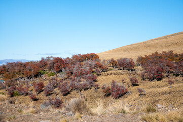 Otoño en la montaña 