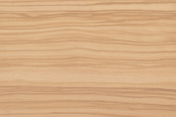 Texture of  Exotic Olive Wood veneer