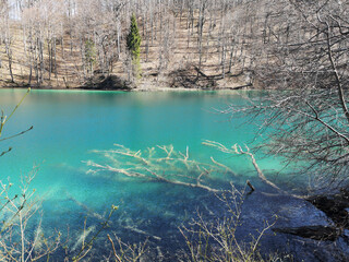 Plitvice lakes nature during spring - Croatia