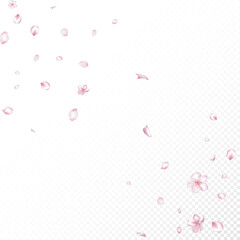 Sakura Cherry Blossom Confetti. Flying Japanese Rose Cherry Sakura