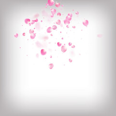 Rose Petals Flying Confetti. Falling Japanese Sakura Rose Cherry