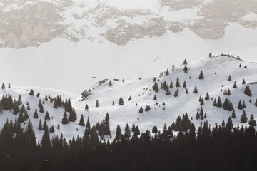 Fototapeta na wymiar French Snowy Alps