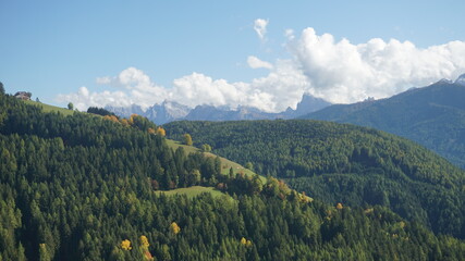 Waldlandschaft in den Bergen