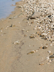 Prise de vue de sable en bord de mer