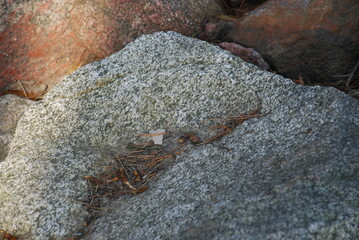 Textured granite stones lie side by side. Close-up on several granite stones. In the foreground is an uneven white-black granite boulder with a hollow in which fallen pine needles lie.