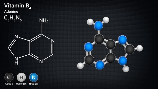 Molecular structure of Vitamin B4 (Adenine). 3D render. Seamless loop. Chemical structure model: Ball and Stick.
