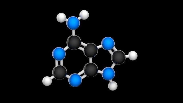 Molecular structure of Vitamin B4 (Adenine). 3D render. Seamless loop. Chemical structure model: Ball and Stick. RGB + Alpha (Transparent) channel.