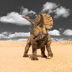 triceratops front view © DM7